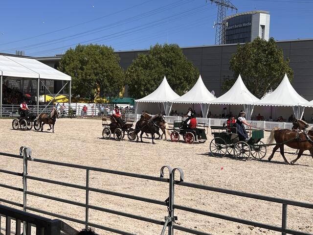 Foto: Isabel Obleser