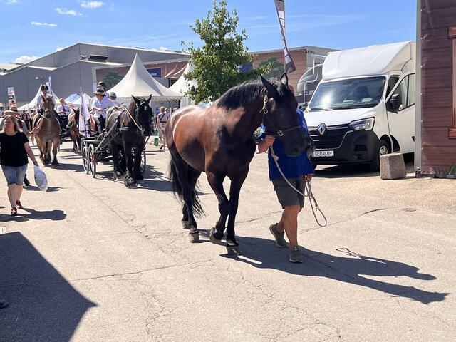 Foto: Isabel Obleser