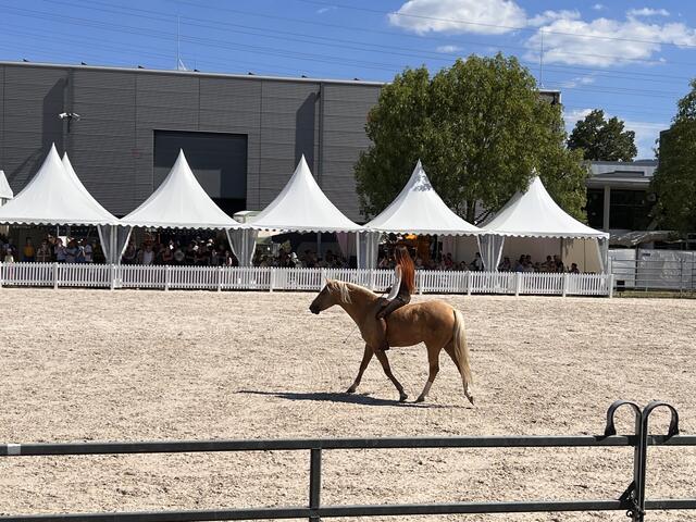 Foto: Isabel Obleser