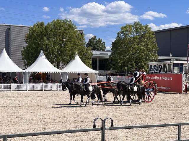 Foto: Isabel Obleser