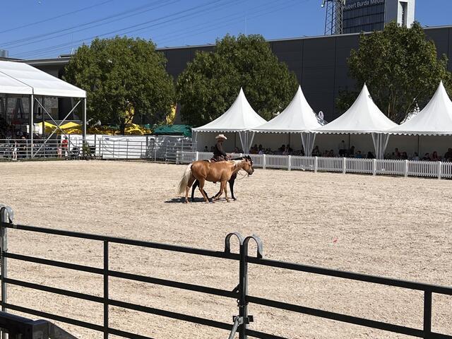 Foto: Isabel Obleser