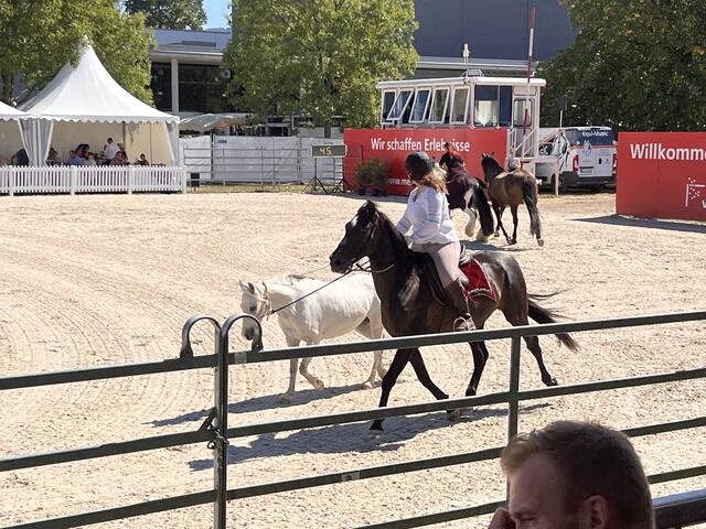 Foto: Isabel Obleser