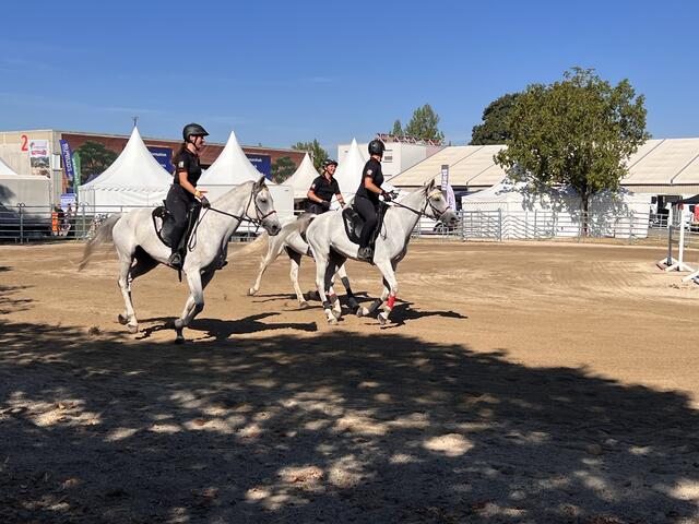 Foto: Isabel Obleser