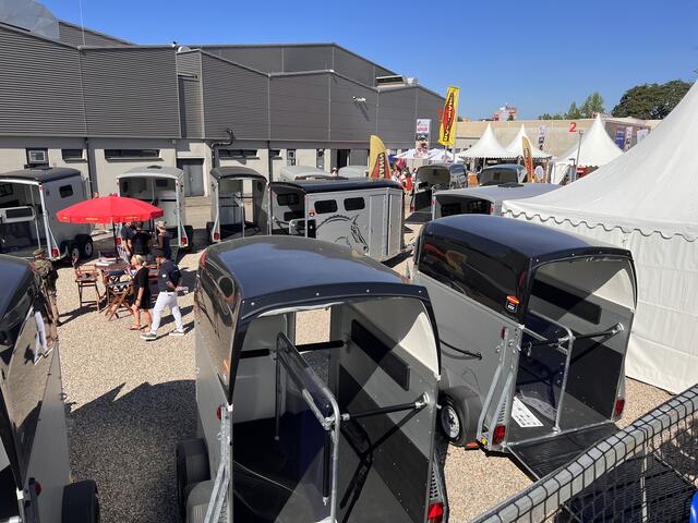 Foto: Isabel Obleser