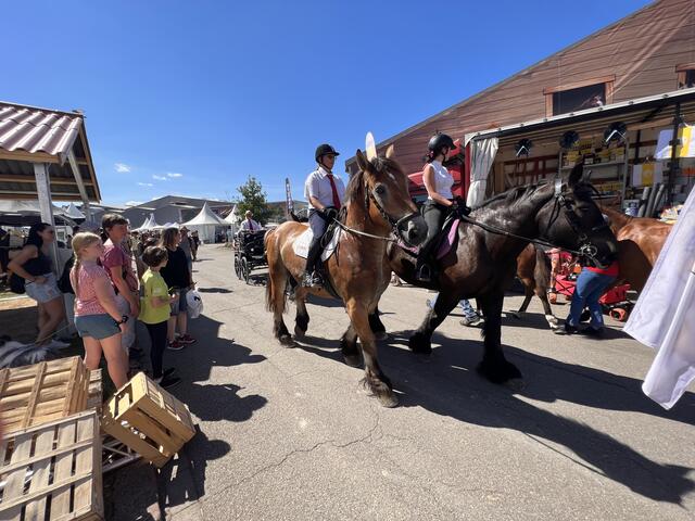 Foto: Isabel Obleser