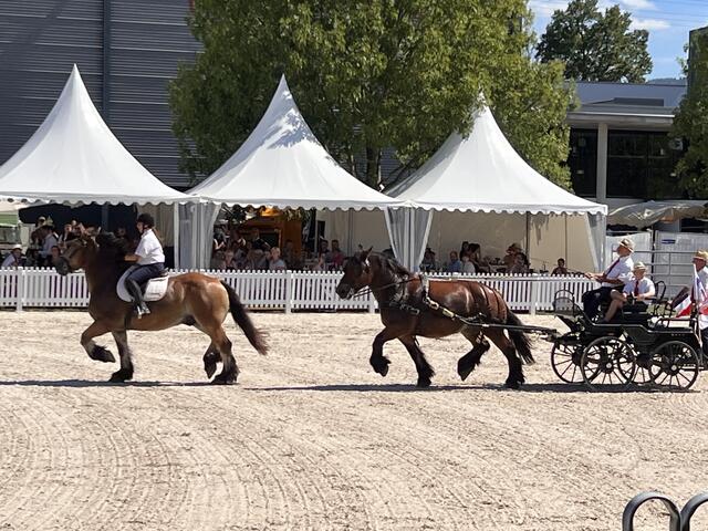 Foto: Isabel Obleser