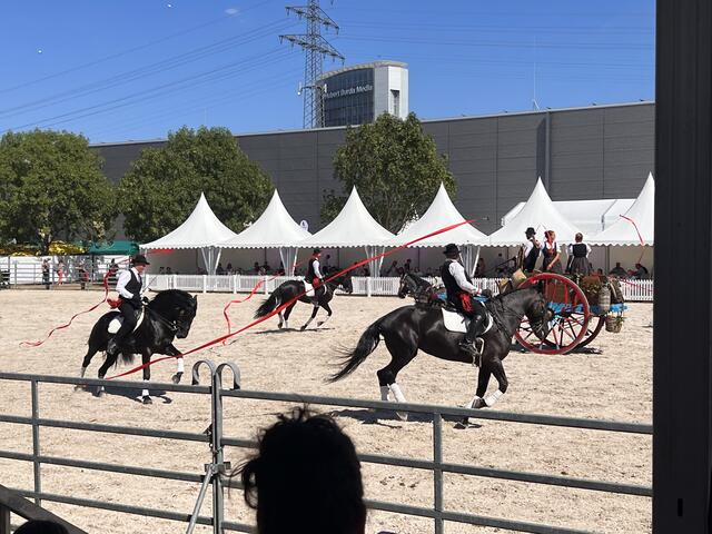 Foto: Isabel Obleser