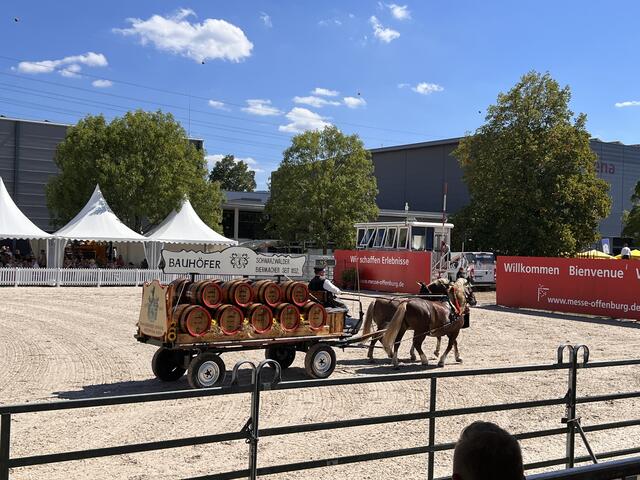 Foto: Isabel Obleser