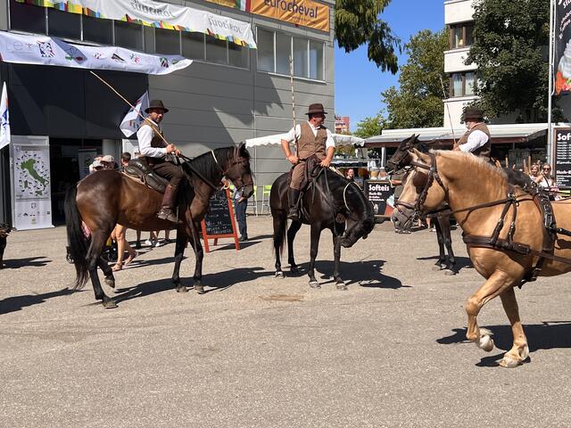 Foto: Isabel Obleser