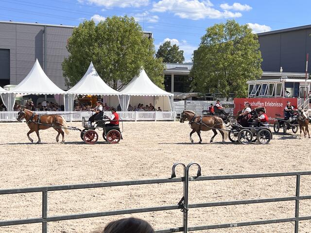 Foto: Isabel Obleser