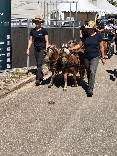 Foto: Isabel Obleser