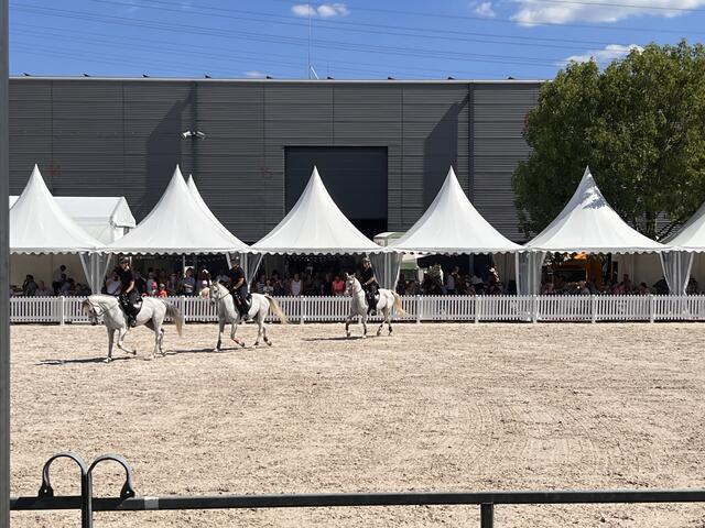 Foto: Isabel Obleser