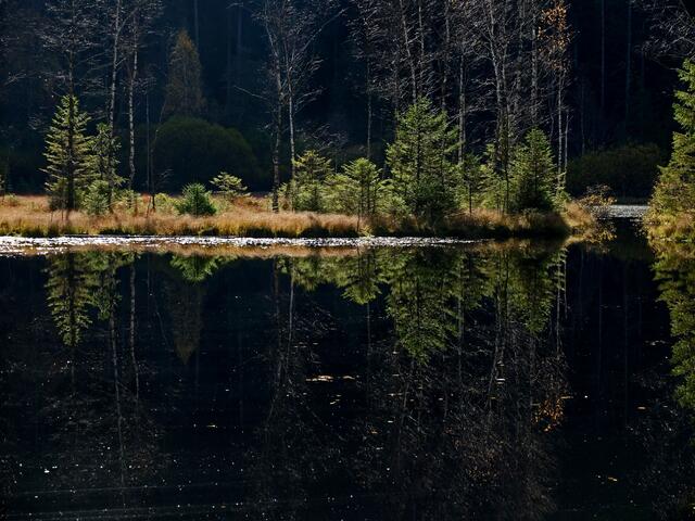 Über einen steilen Abstieg, gings hinunter zum Ellbachsee, wo sich wunderbare Fotoperspektiven dem Hobbyfotografen auftun.  | Foto: Alfred Schramm