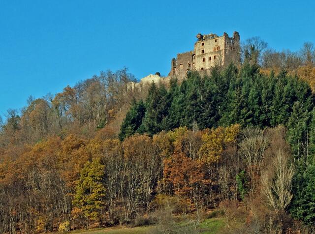 Die Burgruine Hohengeroldseck auf dem Seelbacher Schönberg ist immer, auch gerede im Herbst, eine Anfahrt wert.   | Foto: Alfred Schramm
