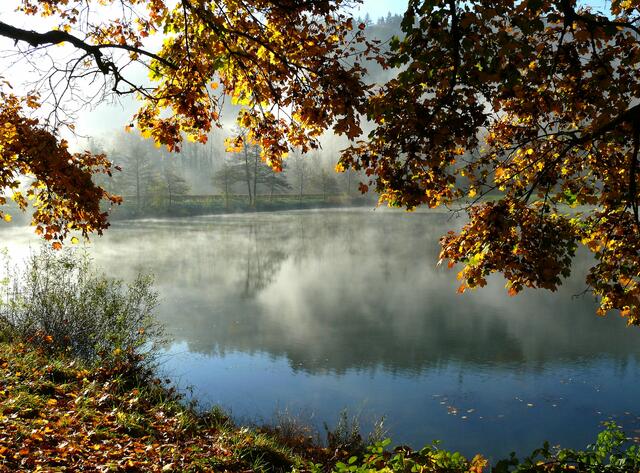 Der sogenannte Ziegelwaldsee, ein Anglergewässer das zu jeder Jahreszeit für schöne Bilder geeignet ist. | Foto: Alfred Schramm