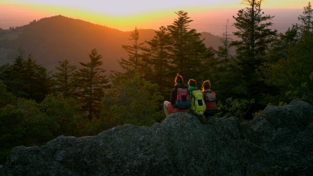 Wanderer auf dem Karlsruher Grat  | Foto: Nationalparkregion Schwarzwald/Black Forest Collective