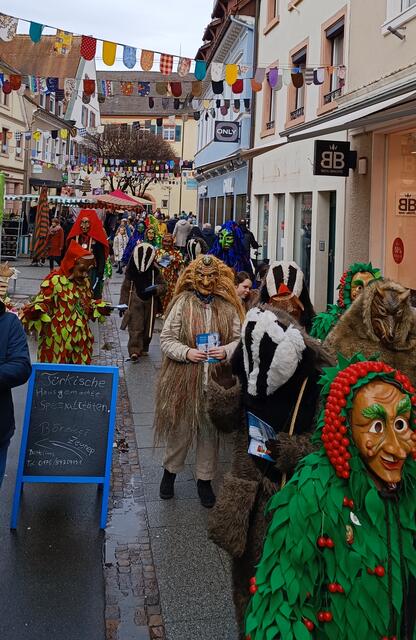 Die Polonaise der Narren in der Steinstraße | Foto: Offenburger Narrenbündnis