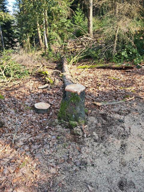 Störendes Gebüsch wurde entfernt. | Foto: Tourist-Info-Durbach