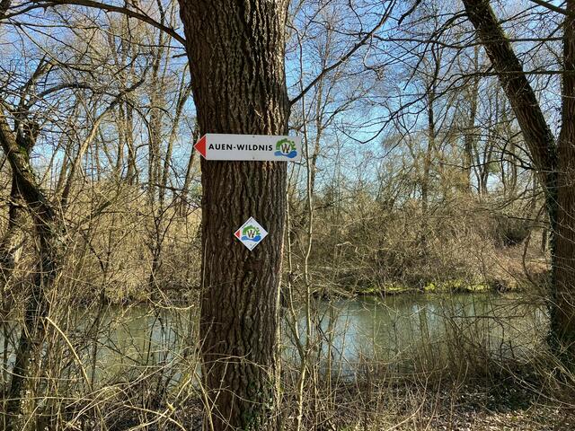 Foto: Glaser