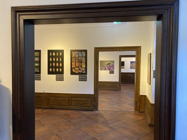 Eine neue Tür an alter Stelle eröffnet neue Perspektiven. | Foto: gro