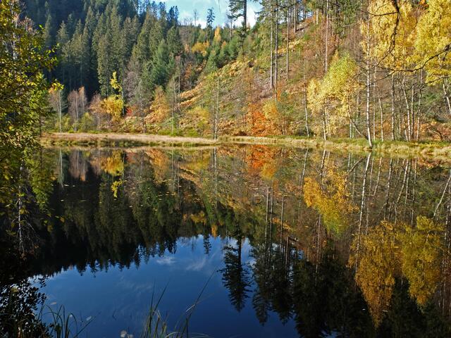 Der Ellbachsee ist ein Karsee im nördlichen Schwarzwald. Der See liegt in der Nähe der Ortschaft Kniebis. Insbesonders im Herbst ein idealer Ort für schöne Landschaftsbilder | Foto: Alfred Schramm