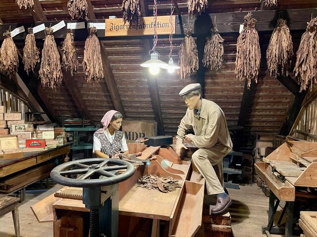 Einblicke in die Zigarrenproduktion