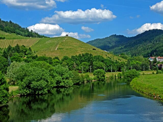 Blick zum Gengenbacher Neuberg mit seinen Rebstöcken und dem Pavillon. | Foto: Alfred Schramm