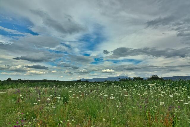 zwischen Urloffen und Erlach