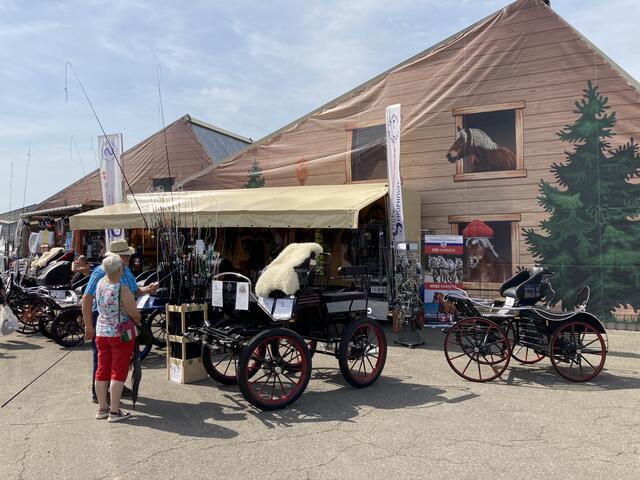 Im Freigelände gibt es ebenfalls viel zu entdecken. | Foto: gro