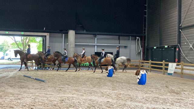 Working Equitation wird auf der Messe vorgestellt. | Foto: gro