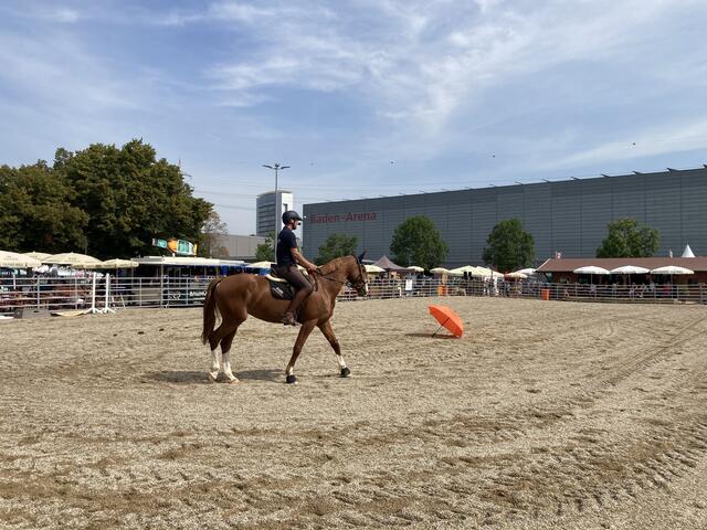 Tipps zum entspannten Reiten von Luuk Teunissen | Foto: gro