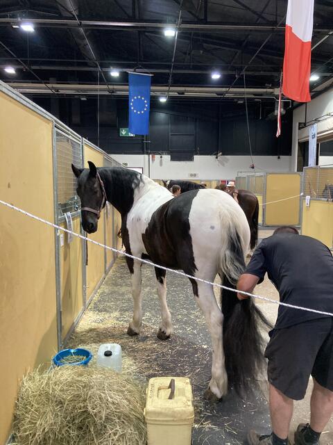 Pflege muss sein. | Foto: gro