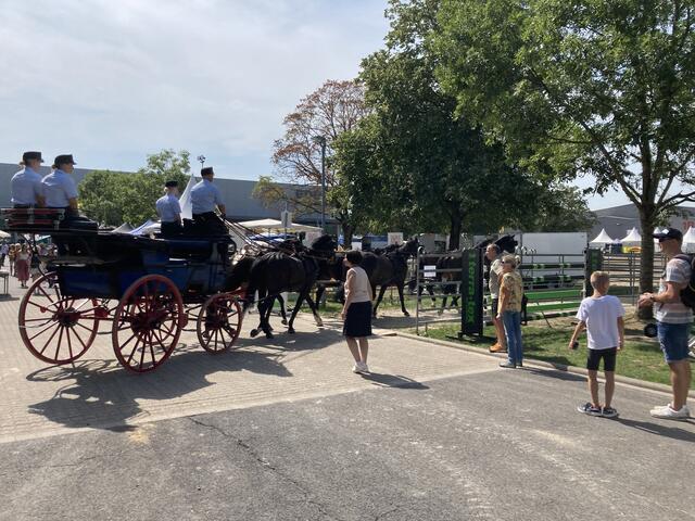 Der prachtvolle Sechsspänner aus Marbach fährt in den Ring. | Foto: gro