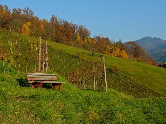Nicht nur eine Ruhebank für erschöpfte Wandersleut, hier können sich auch Fotografen:innen nach getaner Arbeit niederlassen und die Aussicht ins Tal geniesen. | Foto: Alfred Schramm