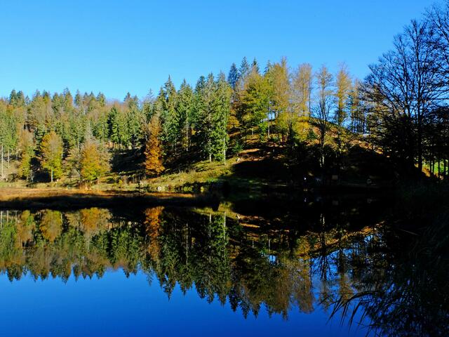 Eine ideale Location für Naturaufnahmen ist der Nonnenmattweiher, der in der Nähe der Ortschaft Heubronn im Südschwarzwald liegt.  | Foto: Alfred Schramm