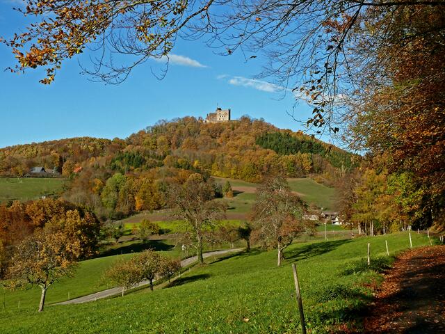 Der Blick zur Burgruine Hohengeroldseck.
Gleich zu welcher Jahreszeit, von diesem Standpunkt aus hat man stets eine herrliche Sicht auf die Burg. Sie liegt auf einer Anhöhe zwischen dem Kinzigtal und dem Schuttertal im Ortsteil Schönberg und war einst Stammsitz der Herren von Geroldseck.  | Foto: Alfred Schramm