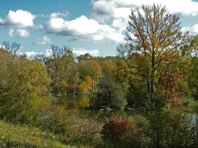 Schöne Naturräume findet man im "Naturschutzgebiet Rohrscholleninsel". Sie befindet sich am Rheinufer in der Nähe von Illkirch-Graffenstaden (Straßburg).
Siehe: https://reserves-naturelles.strasbourg.eu/de/rohrschollen-insel/besichtigen | Foto: Alfred Schramm