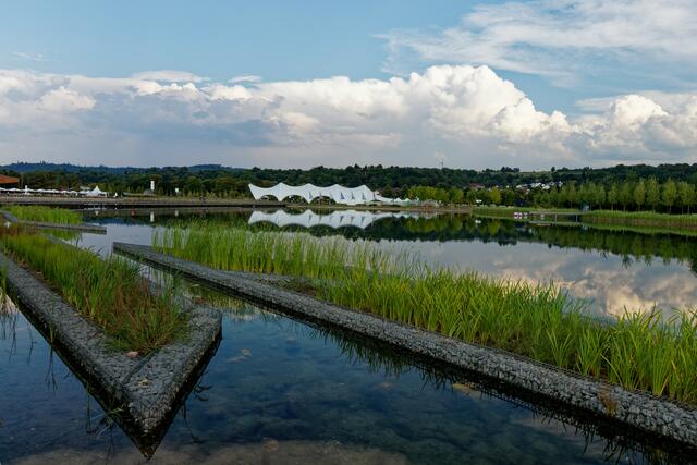 Erinnerungen an die Landesgartenschau 2018