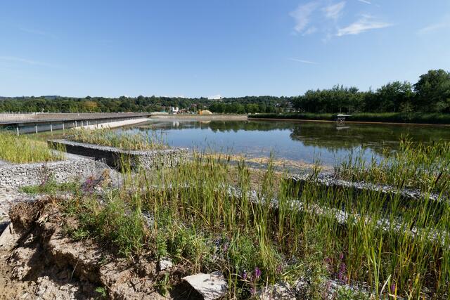 Die Sanierung des Stegmattensees 2023