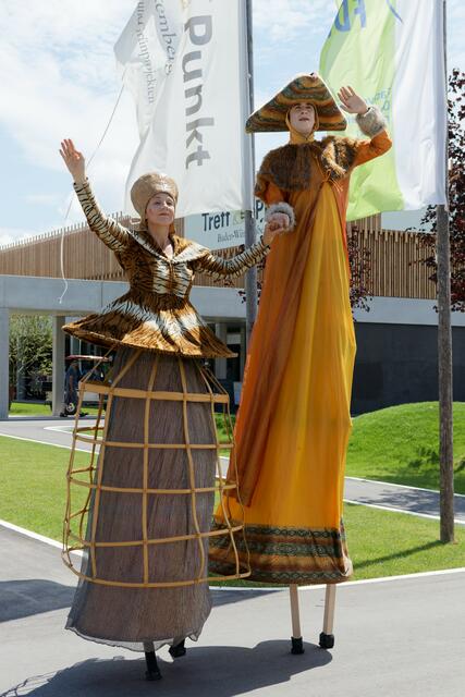 Erinnerungen an die Landesgartenschau 2018