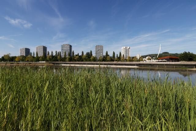 Die Sanierung des Stegmattensees 2023