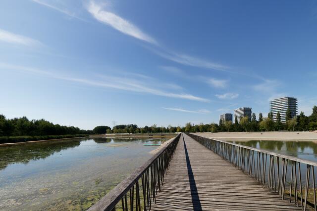 Die Sanierung des Stegmattensees 2023