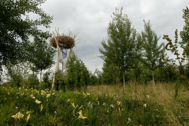 Erinnerungen an die Landesgartenschau 2018
