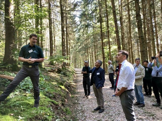 Begehung im Wald | Foto: FVS