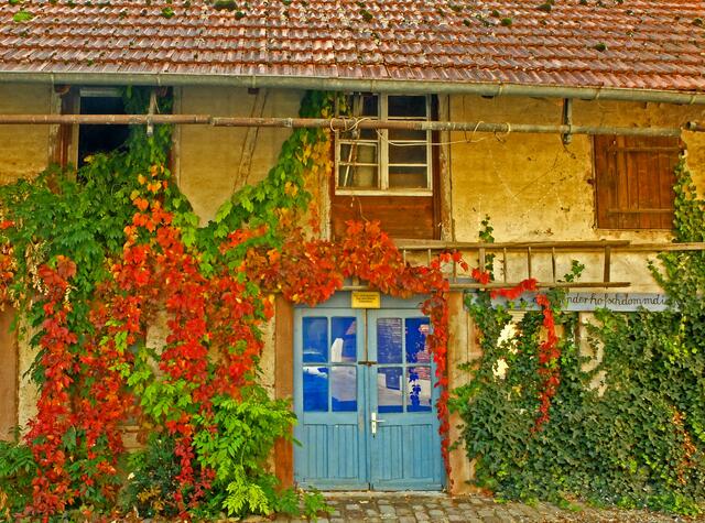 Man muss nur mal einen Blick in einen Hinterhof werfen, und ein schönes Motiv tut sich auf. | Foto: Alfred Schramm