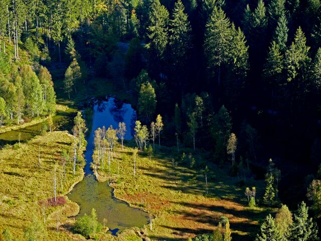 Von der Aussichts-Plattform, bietet sich dieser tolle Blick auf den im Karkessel etwa 150 Meter tief darunter liegenden Ellbachsee. Diese Plattform ist am einfachsten über die Schwarzwaldhochstraße zu erreichen. Vom Parkplatz an der Kniebishütte führt ein Wanderweg zum nur ca. 1km entfernten Ellbachseeblick.  | Foto: Alfred Schramm