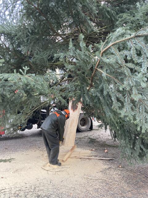 Ulrich Müller vom Ramsteinerhof sorgt dafür, dass der Baum auch passt und sicher steht. | Foto: gro