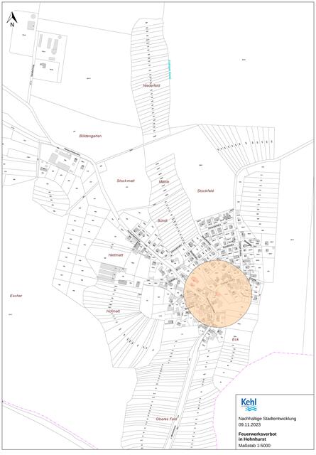Hohnhurst | Foto: Stadt Kehl