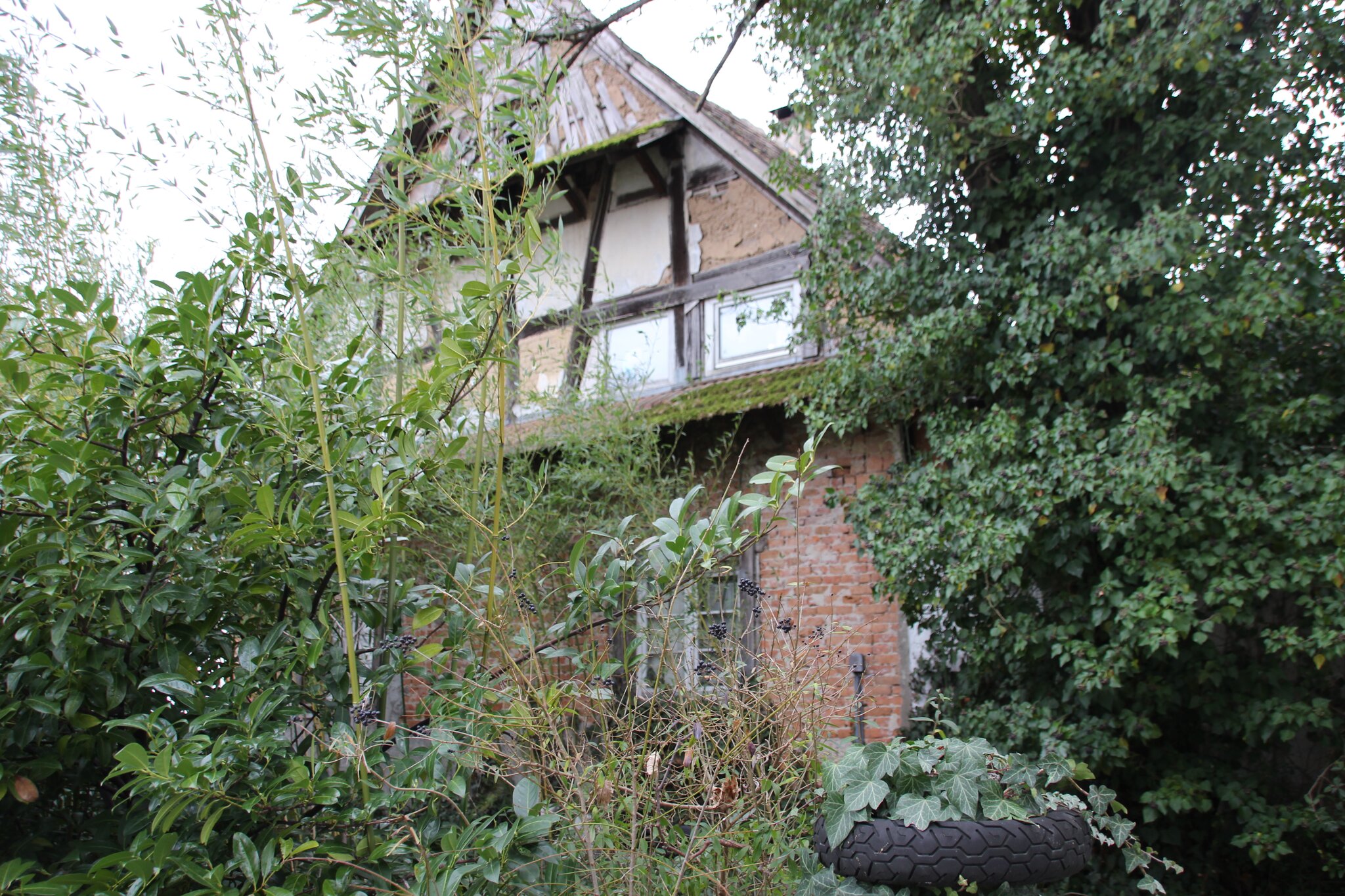 Stadt Rheinau erwirbt Grundstück Chance für Entwicklungsmöglichkeiten