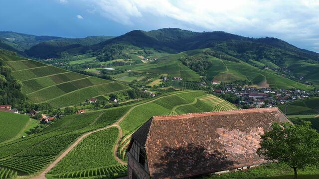 Der Weinort Durbach ist bei Feriengästen beliebt. | Foto: mak